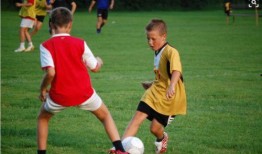 吃瓜最新事件爆料 体育圈是干净的吗