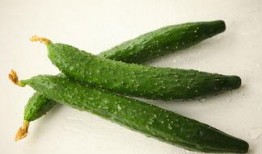 吃瓜每日大赛 黄瓜c,黄瓜C的瓜界传奇