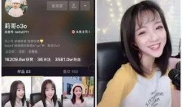 娱乐八卦视频哪里看 黑料不打料入口,黑料不打料入口，独家揭秘明星幕后真相